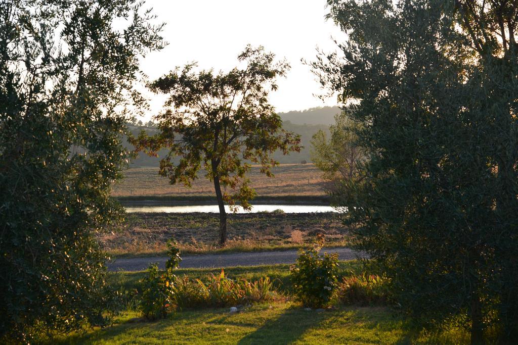 Agriturismo Podere Micitto Usi Chambre photo