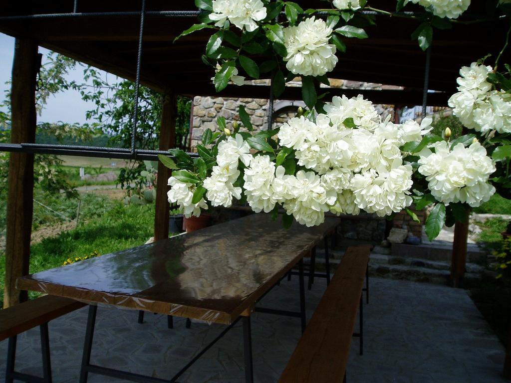 Agriturismo Podere Micitto Usi Extérieur photo