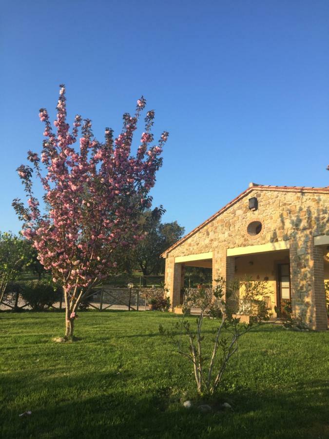 Agriturismo Podere Micitto Usi Extérieur photo